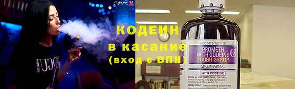 ПСИЛОЦИБИНОВЫЕ ГРИБЫ Верея